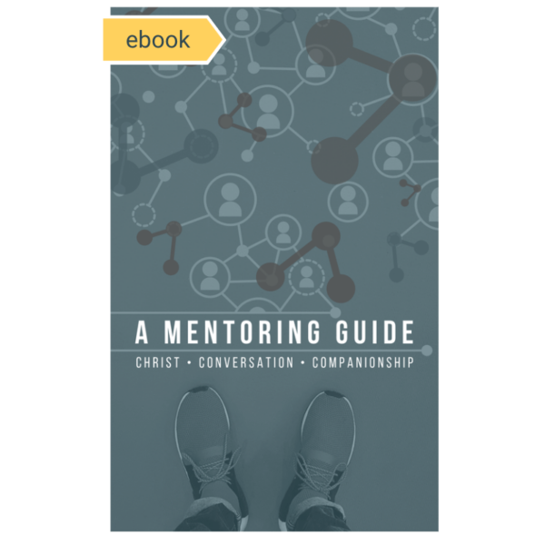A Mentoring Guide ebook